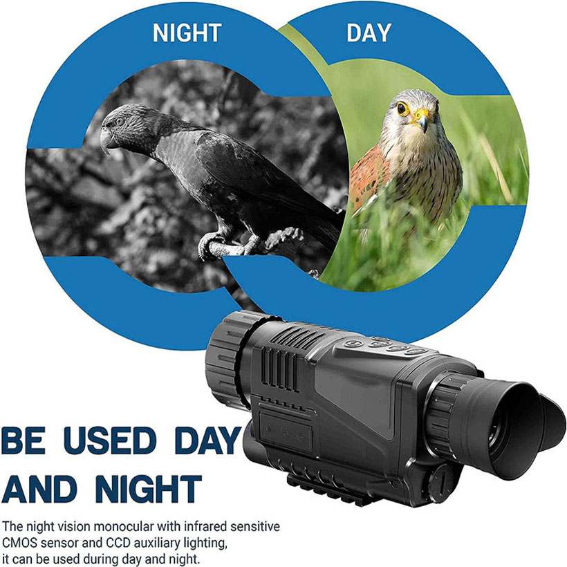 Low Light Night Vision Hunting - Outdoor Adventure Videos recensione e prezzo